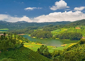 Ooty Tour